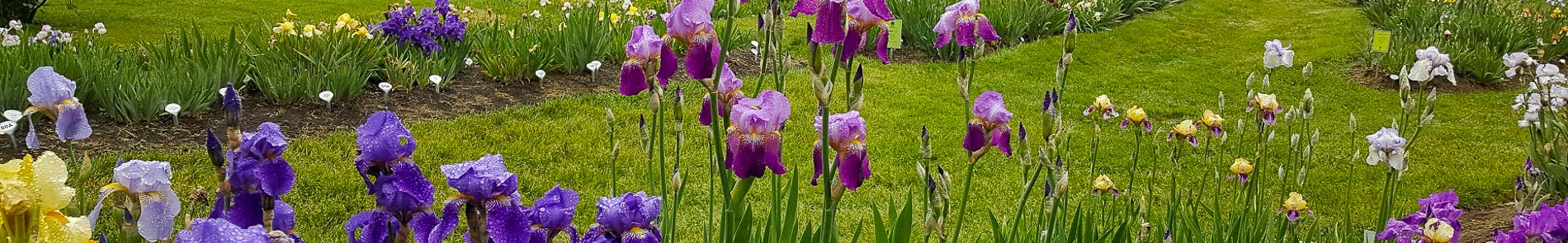 Presby Iris Park