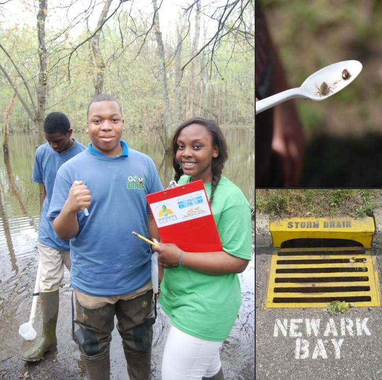 young people standing in front of a river, spoon with bugs, a storm drain