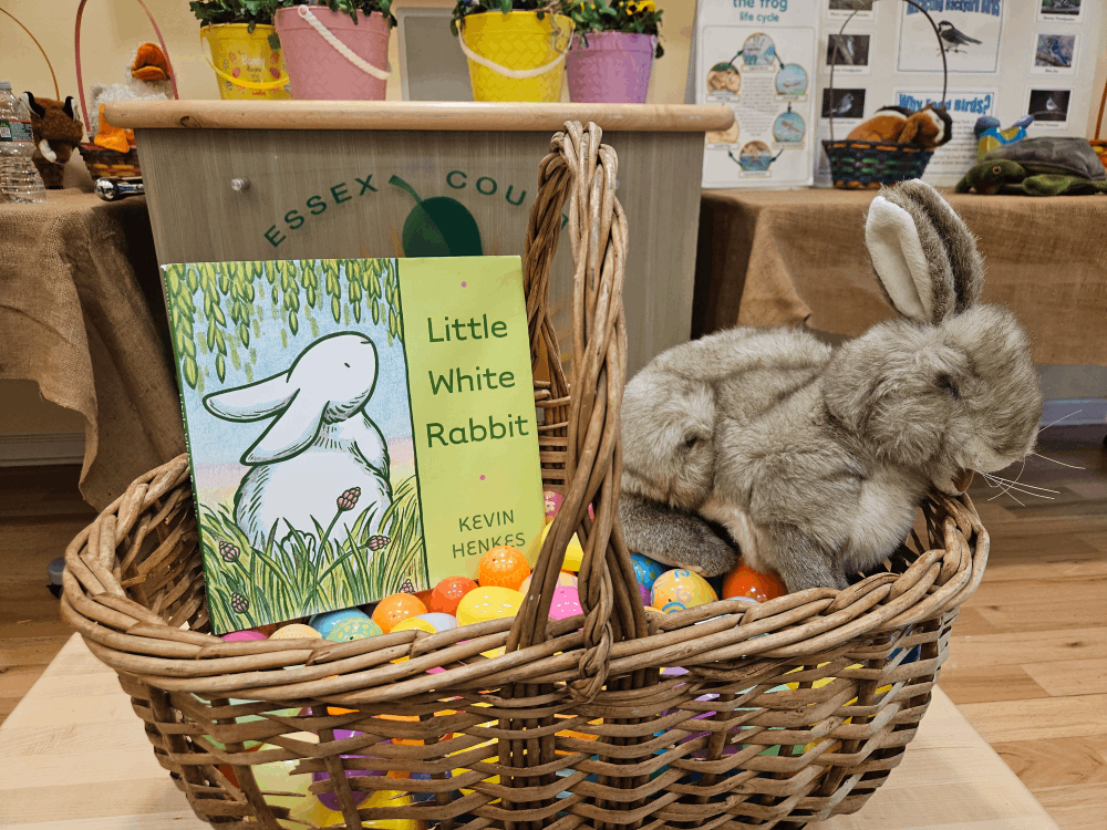 basket with eggs and a stuffed rabbit with book