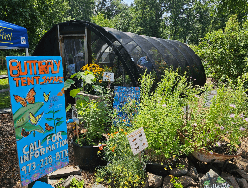 butterfly tent exhibit