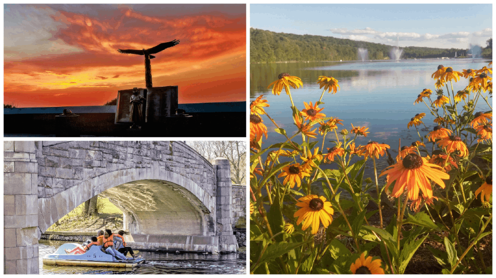 flowers,boating and a sunset