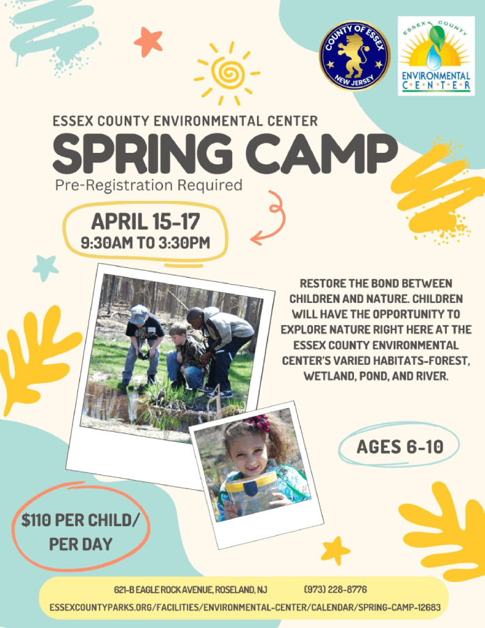 Spring Camp