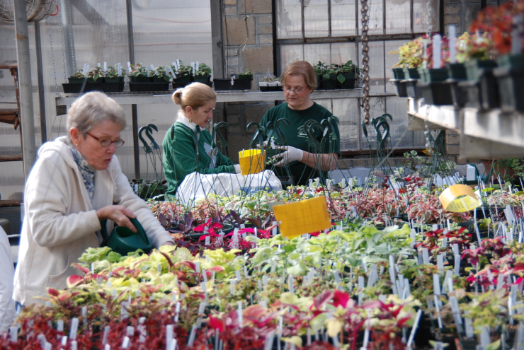 three women with various plants and hanging plants for sale