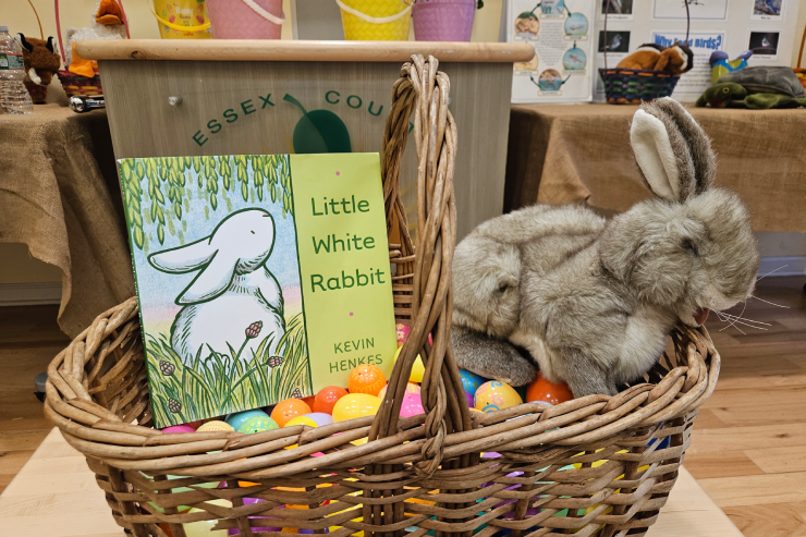 Easter basket with book and rabbit