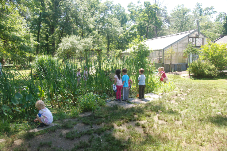 kids looking at a nature garden with greenhouse background