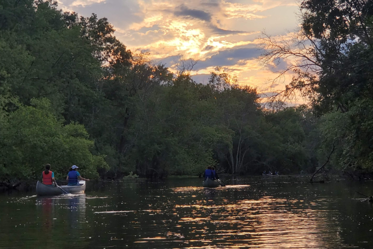 several canoes with people on a river
