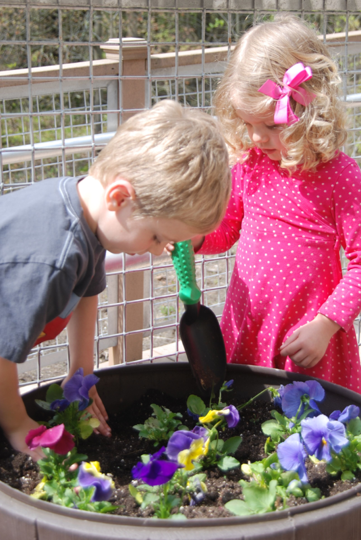 kids gardening with purple and yellow flowers